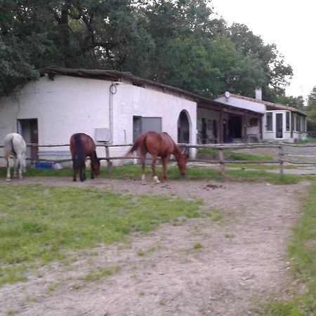 Ferme Equestre Des Abrons Vila Pailloles Exterior foto