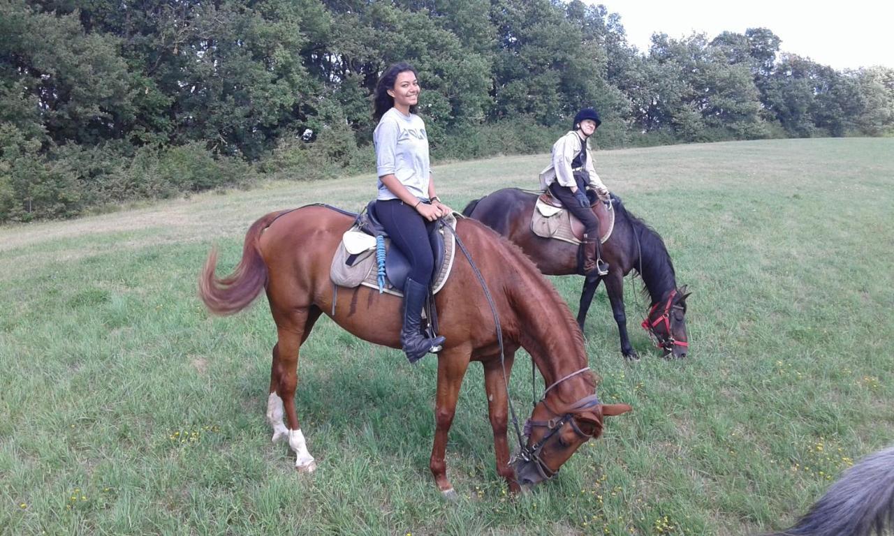 Ferme Equestre Des Abrons Vila Pailloles Exterior foto
