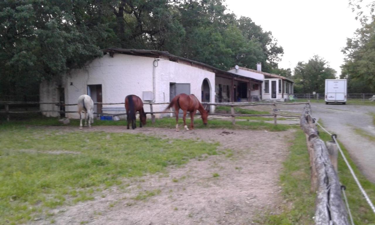 Ferme Equestre Des Abrons Vila Pailloles Exterior foto