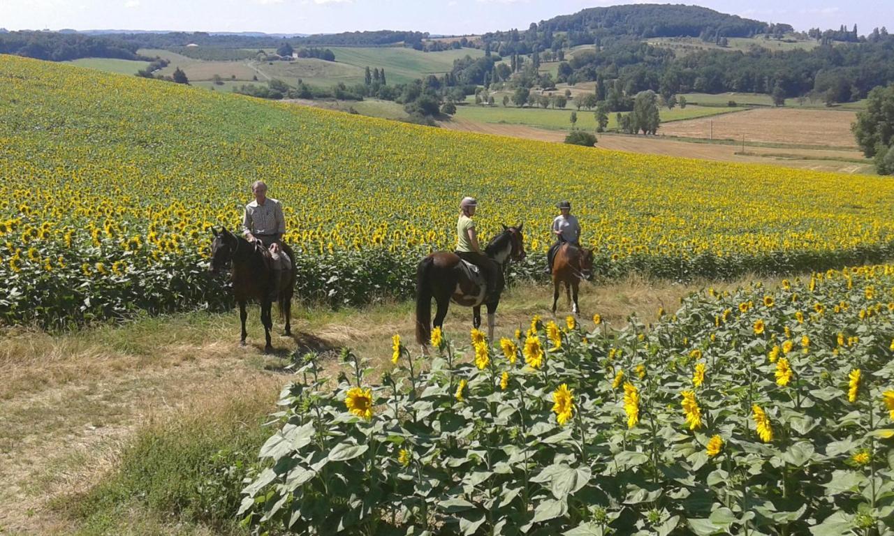 Ferme Equestre Des Abrons Vila Pailloles Exterior foto